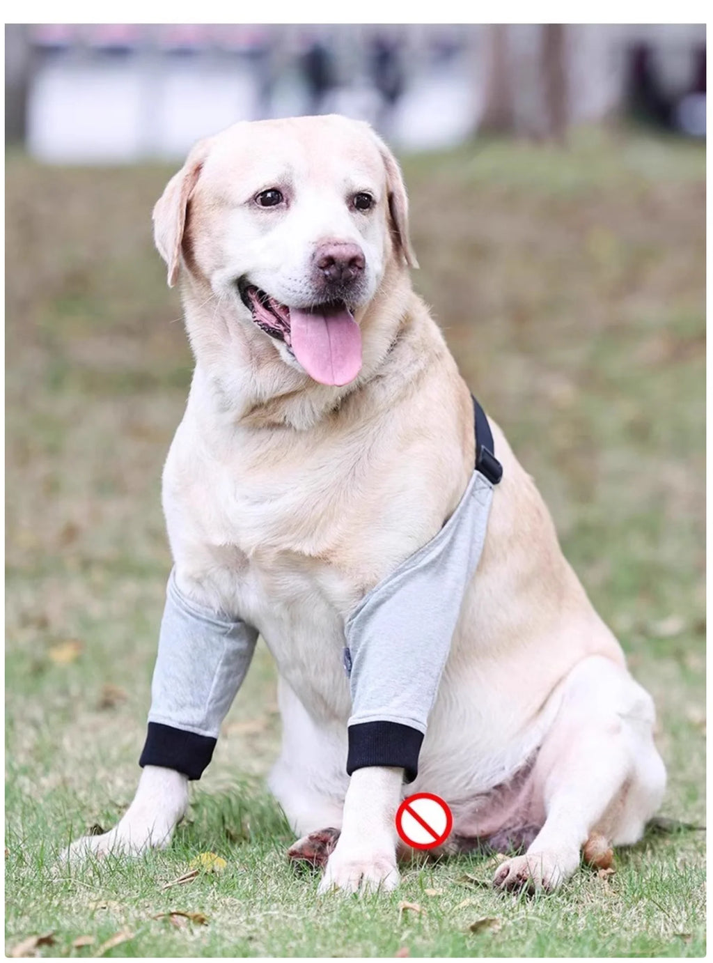 Dog Front Leg Brace - Dual Compression Sleeves for Arthritis, Injury & Scratch Protection