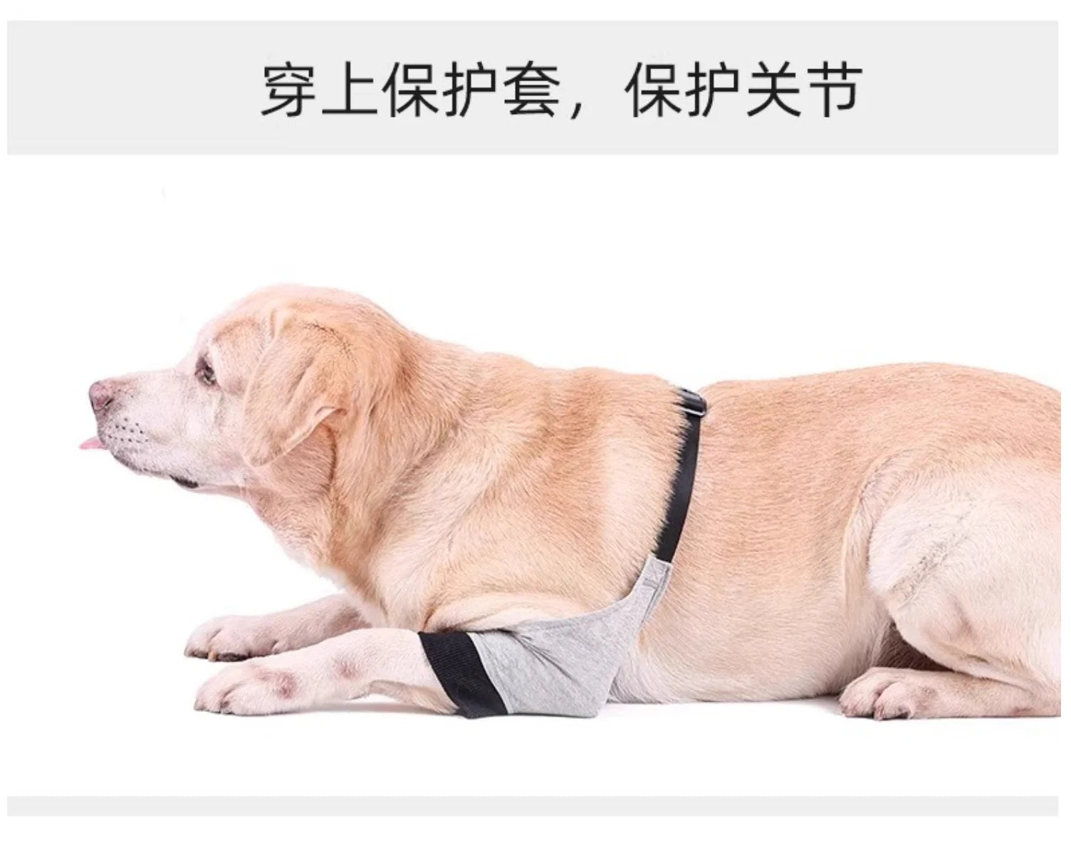 Dog Front Leg Brace - Dual Compression Sleeves for Arthritis, Injury & Scratch Protection